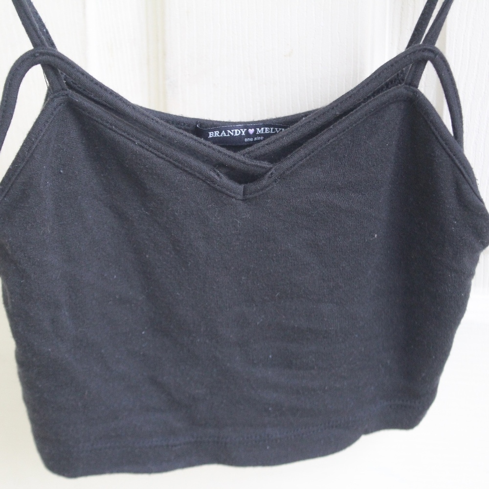Brandy Melville Crop Top